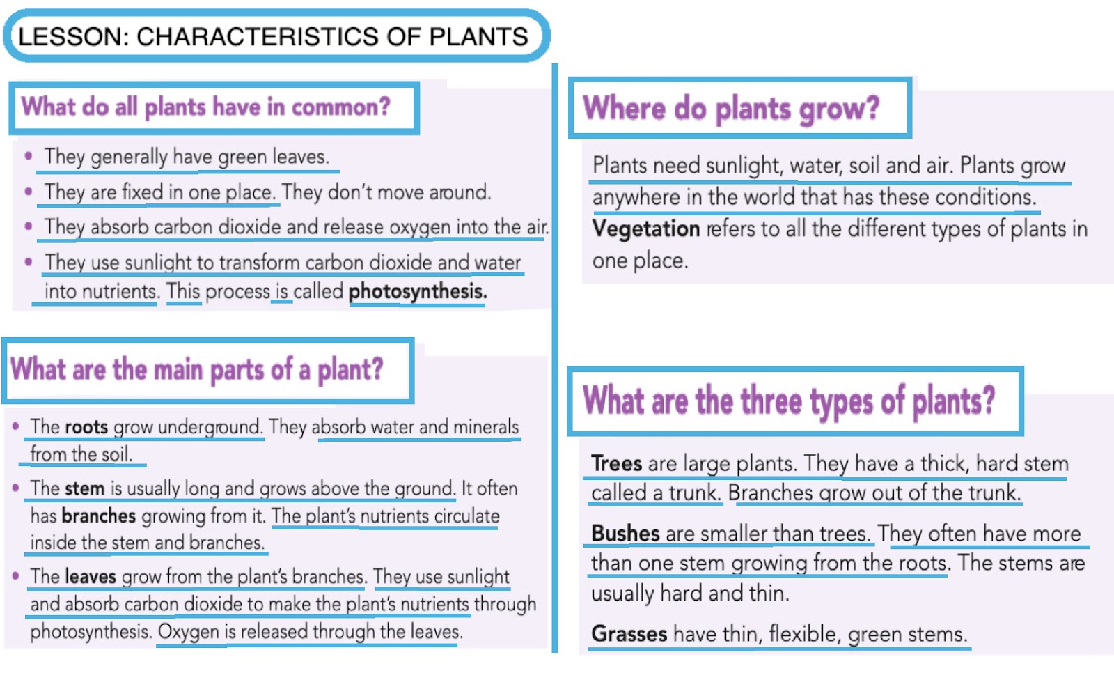 Blog de 3º de Primaria NATURAL SCIENCE UNIT PLANTS LESSON