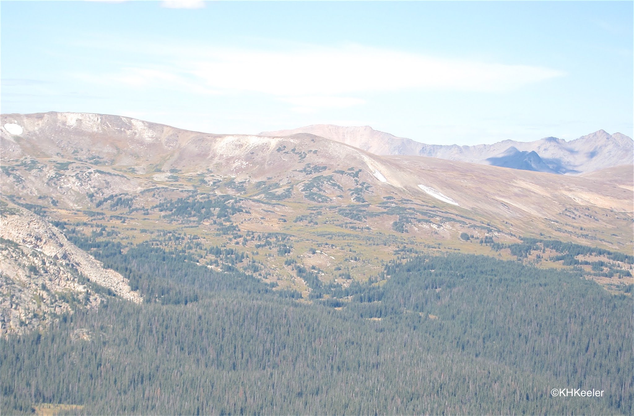 A Wandering Botanist: Alpine Tundra in Northern Colorado