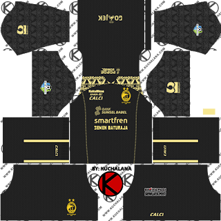 Sriwijaya FC 2018 Kit - Dream League Soccer Kits