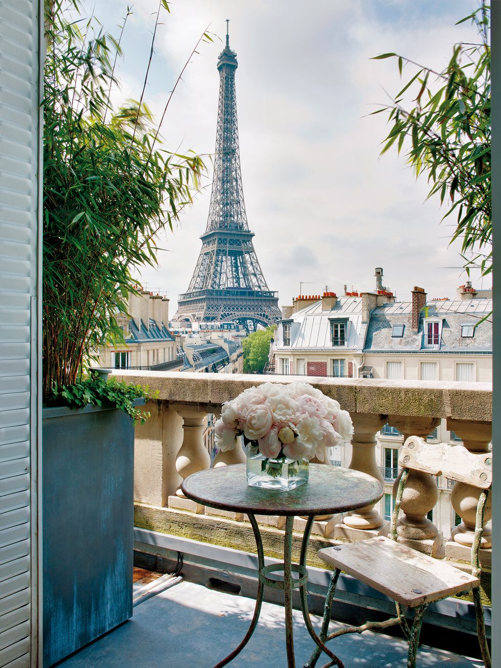 Elegant Parisian apartment in soft colors