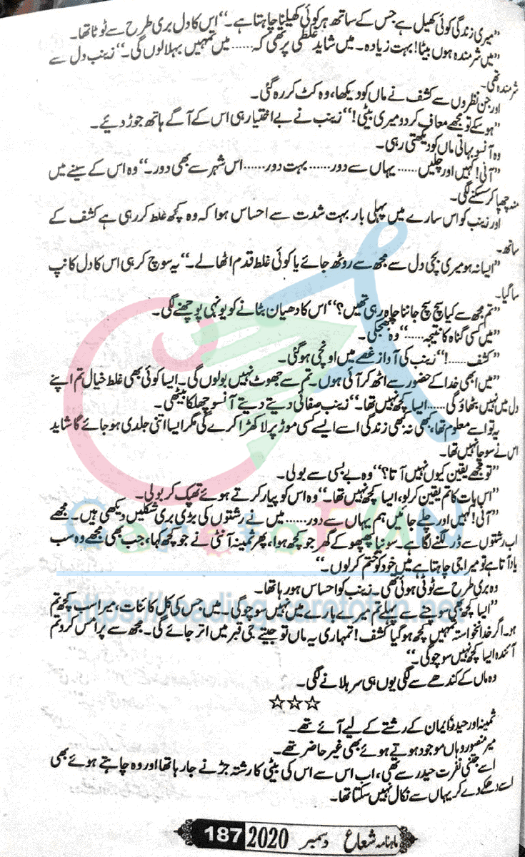 Sham Ki Haveli Main By Rukhsana Nigar Adnan Episode 24