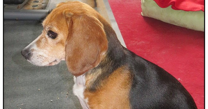 Käferchen Vertrauen aufbauen