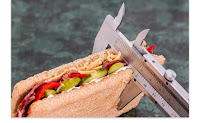 obesity causes obesity causes