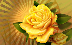 yellow rose funny wallpapers flowers
