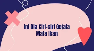 Ini Dia Ciri-ciri Gejala Mata Ikan