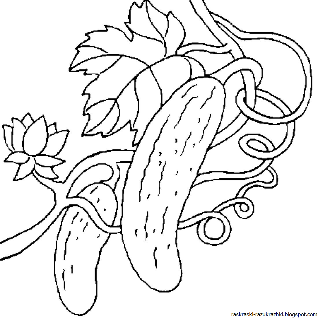 Разукрашки Раскраски Фото Картинки для Распечатать