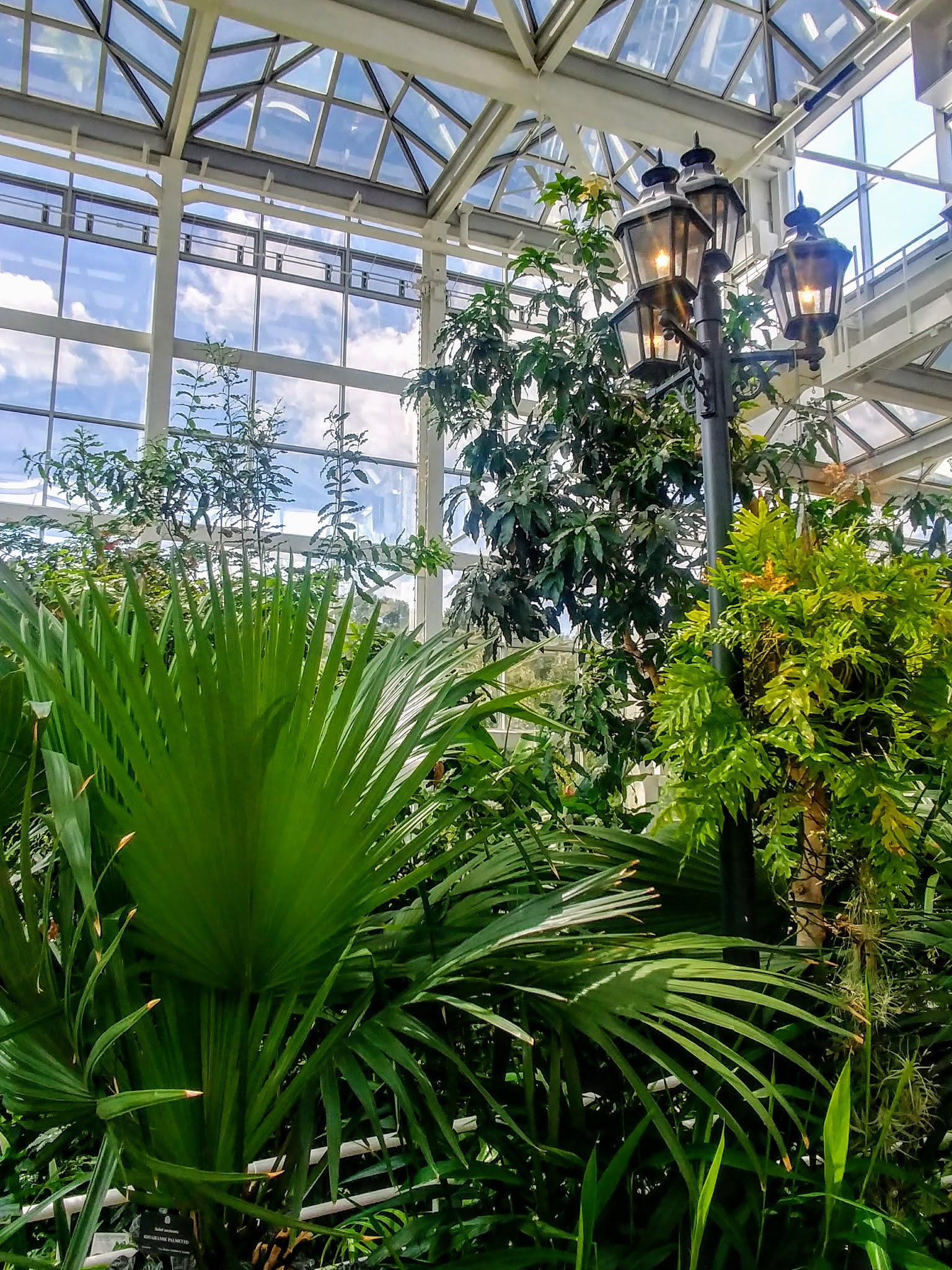 Another Mile Another Destination Blog: The State Botanical Gardens of ...