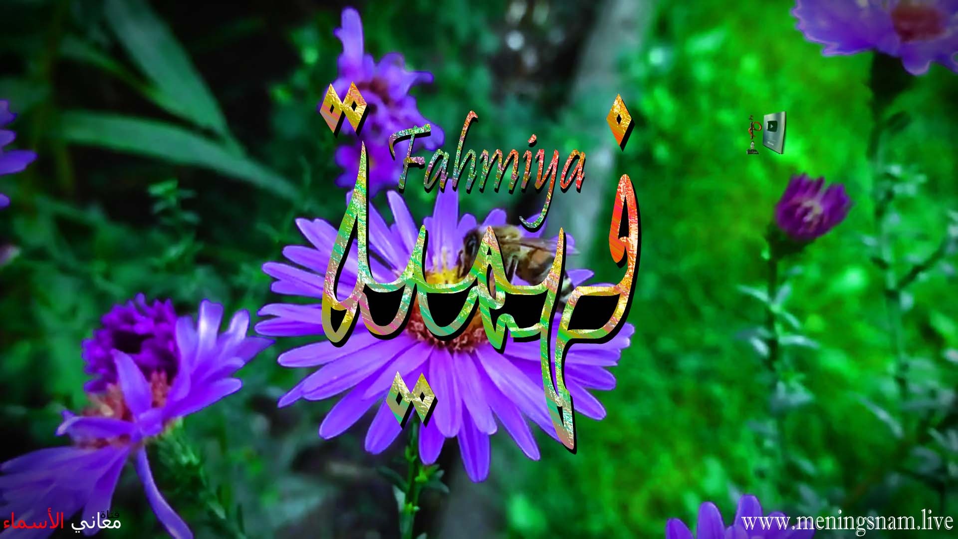 معنى اسم فهمية وصفات حاملة هذا الاسم Fahmiya معنى اسم فهمية وصفات حاملة هذا الاسم Fahmiya