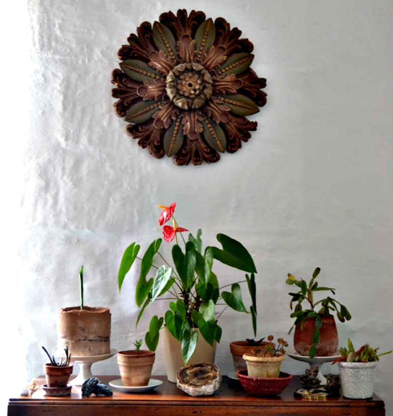 Composición decorativa desde cero en un hall o recibidor con plantas y minerales