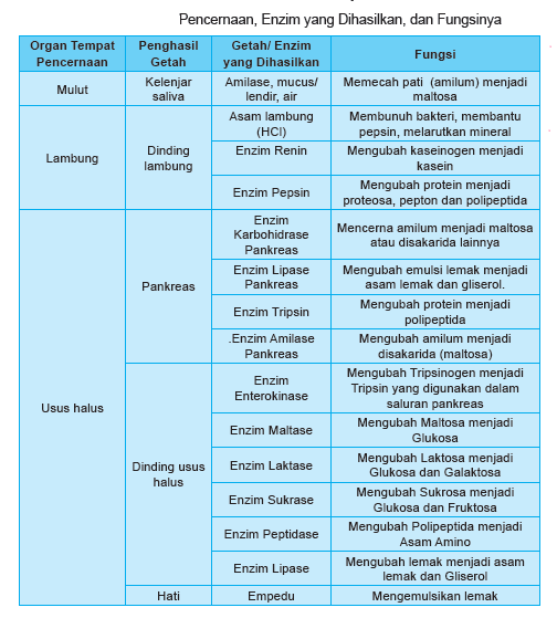 Akupuntur Akupresur Nanjing Jakarta Selatan: 2017