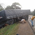 Bois invadem pista e causam acidente com caminhão na PR-466, em Guarapuava
