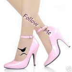 Follow-me ?