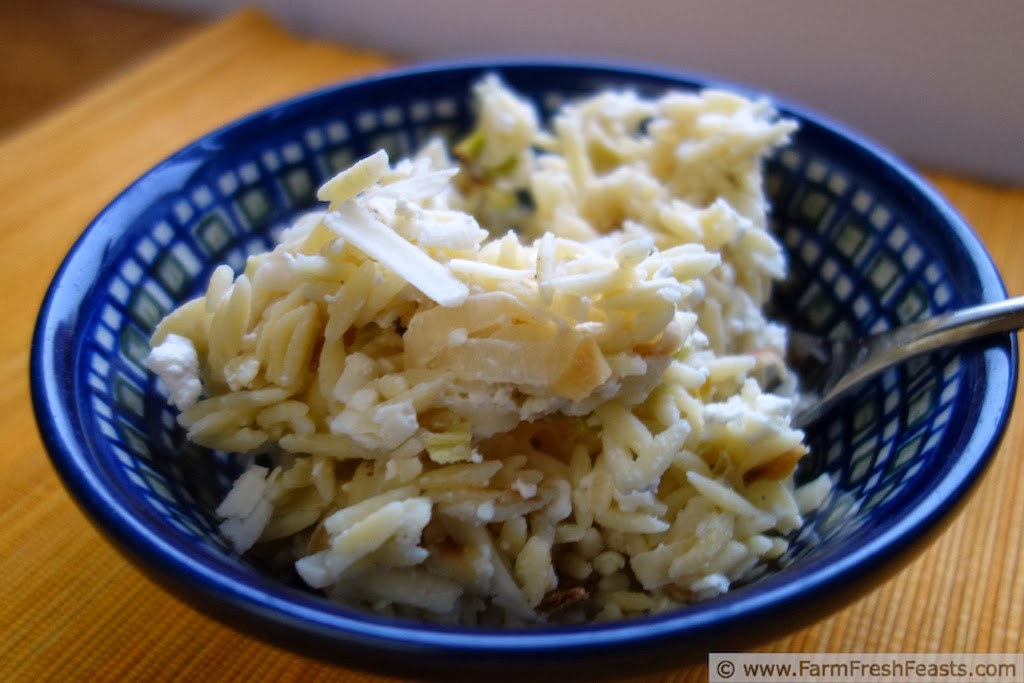 Cheesy Leeks and Orzo | Farm Fresh Feasts