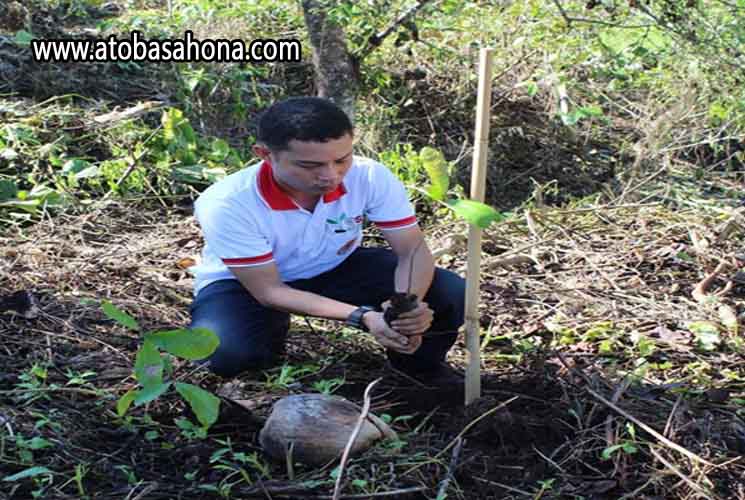 Satu Pohon Lebih Baik Daripada Tidak Sama Sekali - Ato Basahona Share