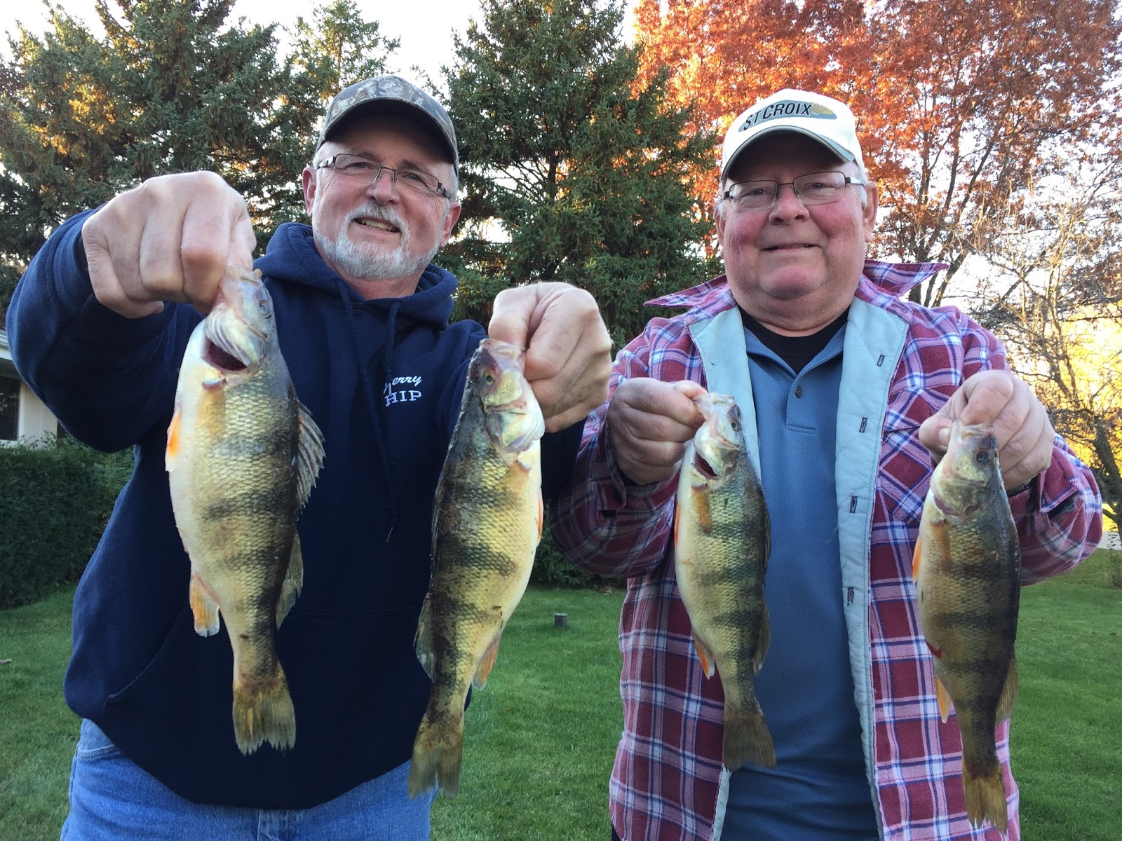 Wisconsin Fishing Updates PERCH!