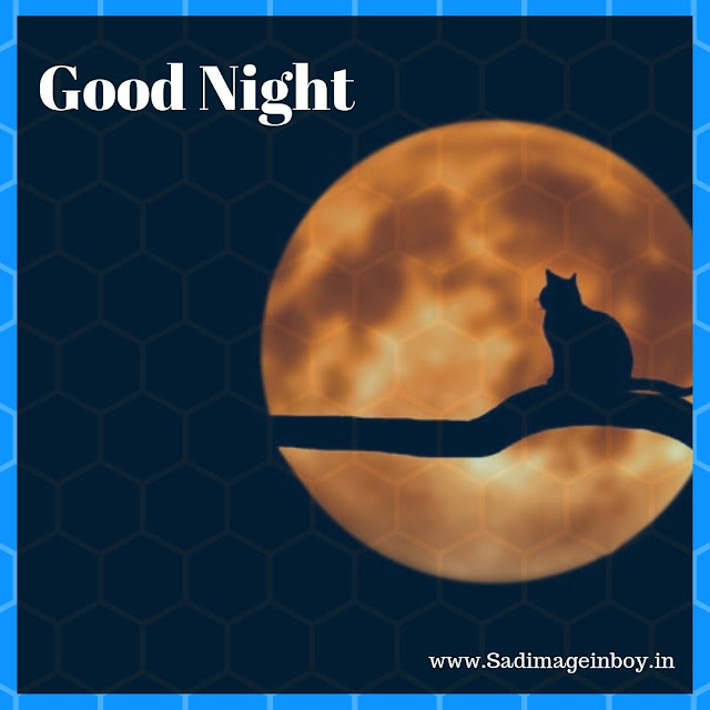good night images Download For HD good night images Download For HD