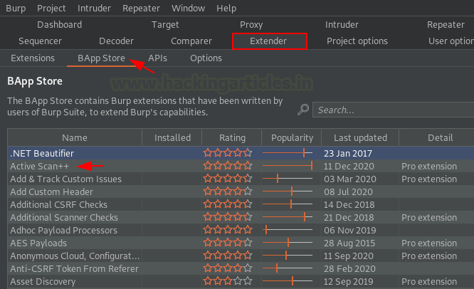 Burp Suite Active Scan