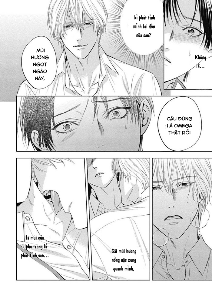 Đọc truyện Cô Dâu Của Alpha - Chapter 4