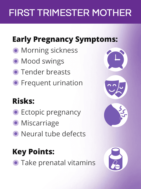 Pregnancy stages 1st, 2nd and 3rd trimesters(week by week)