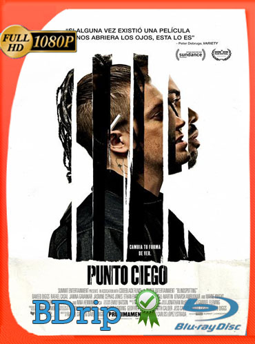 Punto Ciego (2018) BDRIP 1080p Latino Dual [GoogleDrive] ​TeslavoHD