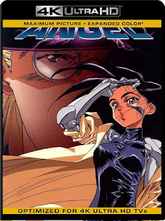 Alita Battle Angel (1993) 4K 2160p UHD [HDR] Latino [GoogleDrive]