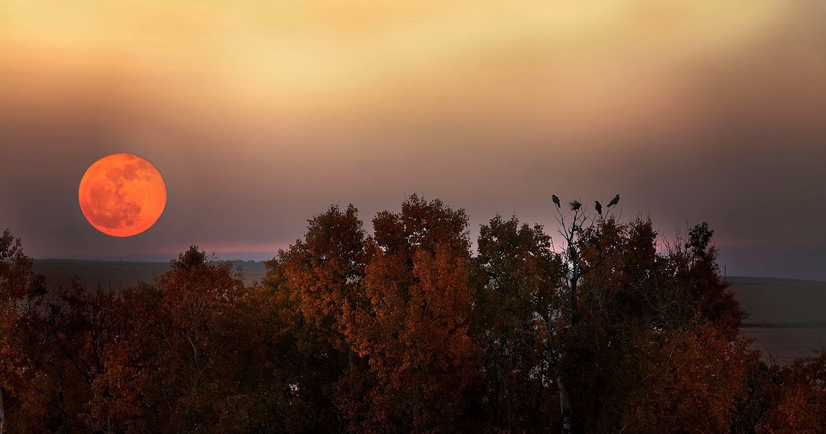 RETRO KIMMER'S BLOG: FULL HUNTER'S MOON OCTOBER 13, 2019