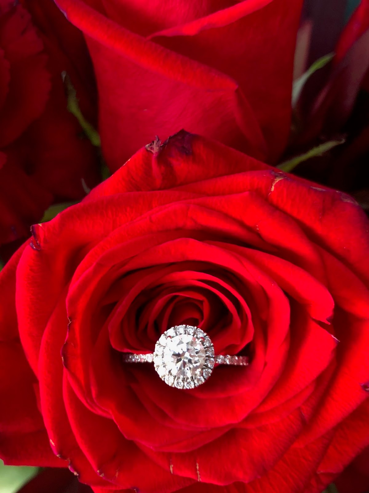 I'm Engaged: Details About My Beautiful Ring From Brilliant Earth