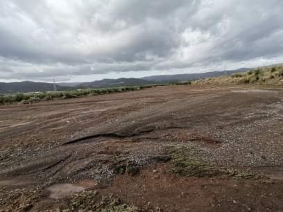 IMG 4096 | Lamianow.gr