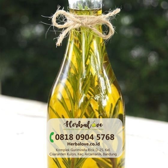 supplier minyak zaitun murni Cirebon