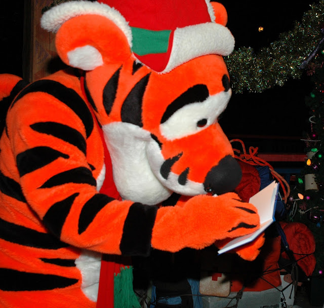 Santa Tigger Signing Autographs Disney's Animal Kingdom