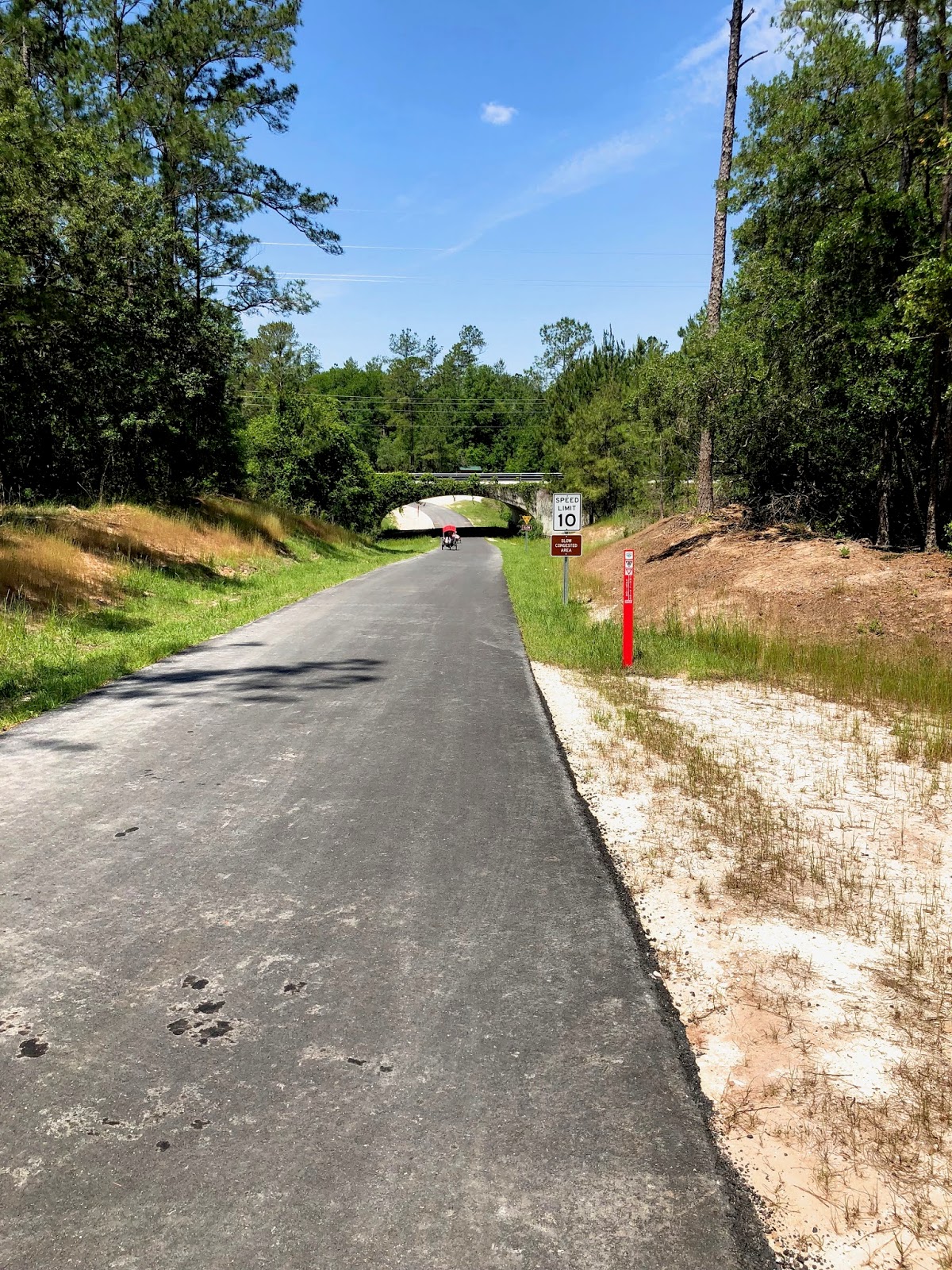 Chuck's Adventures Santos and Land Bridge Paved Trail Cross Florida