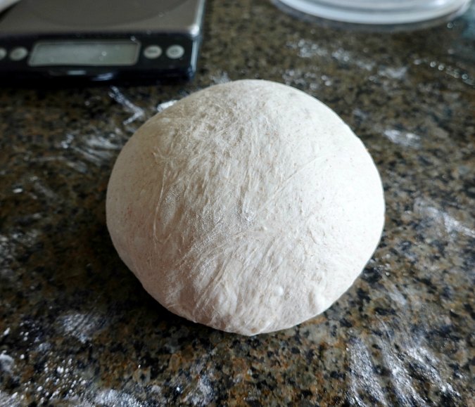 Pre-shaped ball of bread dough