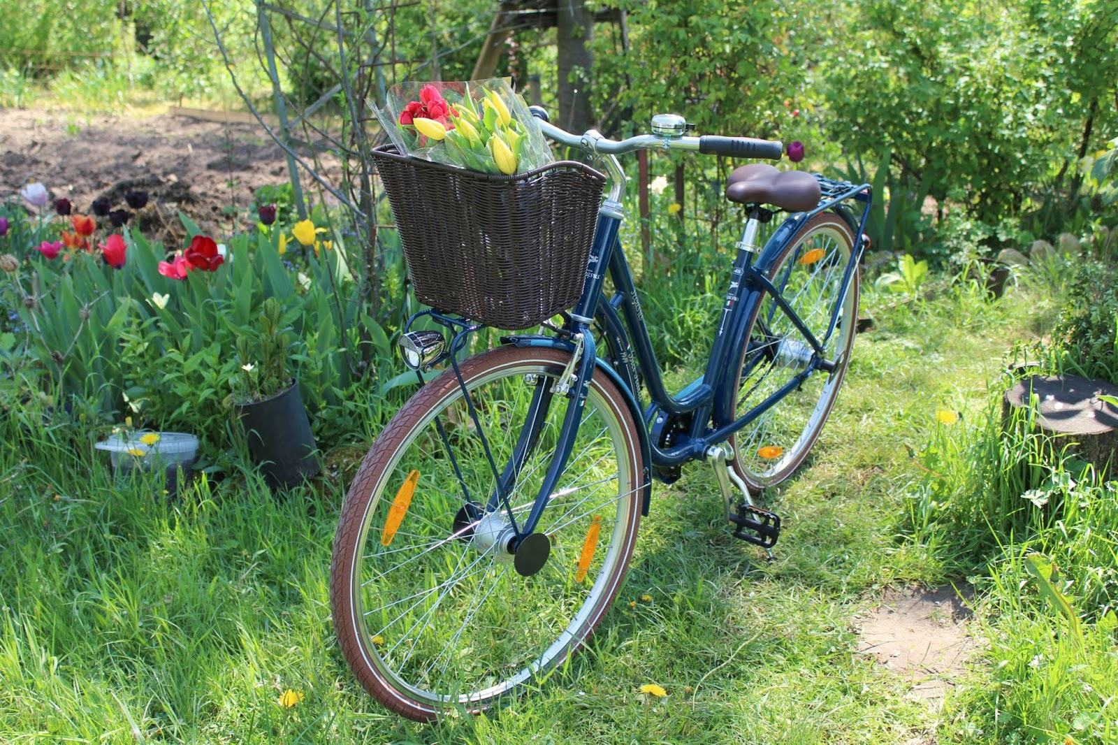 vintage pegasus bicycle