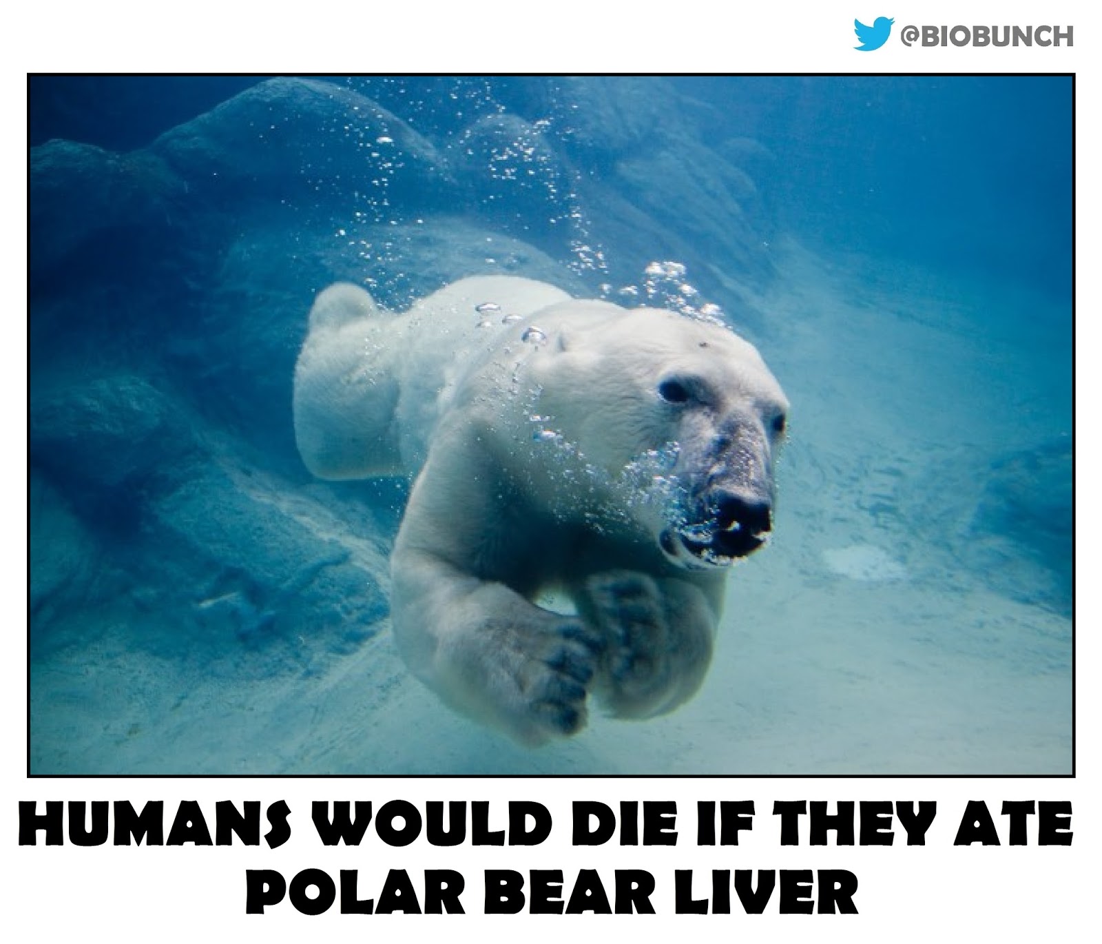 Friday Fact Week 10 Science in the City