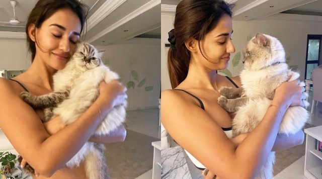 Disha Patani Cuddles With Her Pets And Shares An Adorable Video.