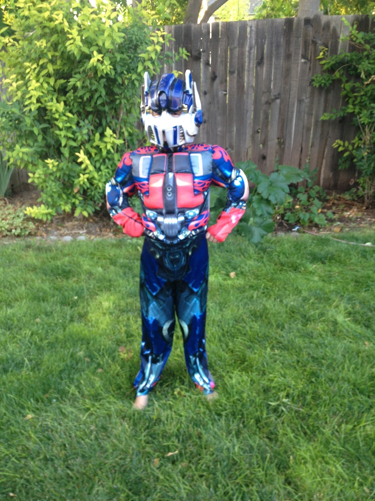 Heart Zipper Halloween Adventure Costume Review