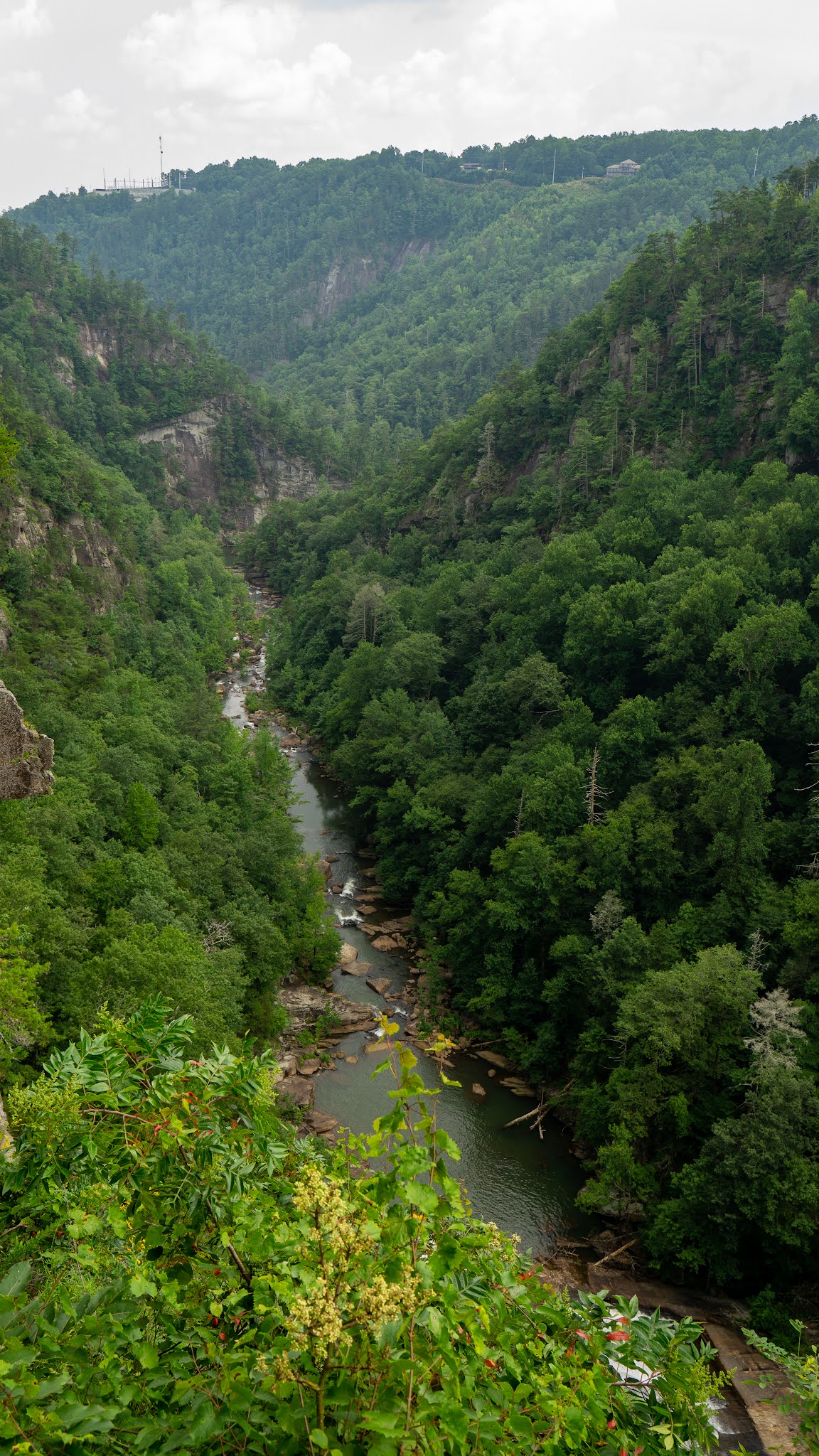 Chris Odom Photography Day 4 Helen, GA Brevard, NC
