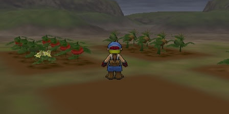 Crops Guide - Harvest Moon: Save the Homeland Walkthrough