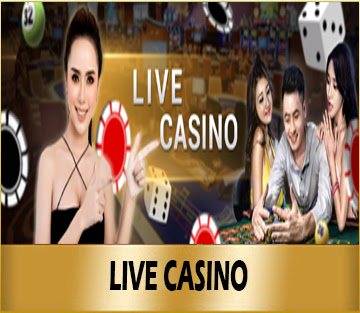 LiveCasino