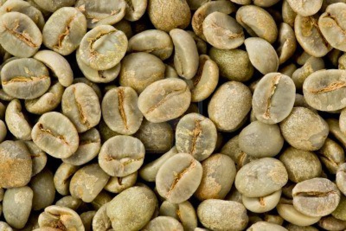 estratto di chicco di caffè verde kmarte