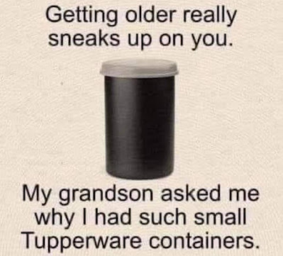 122023642_908821446313531_3029964009354920597_n.jpg