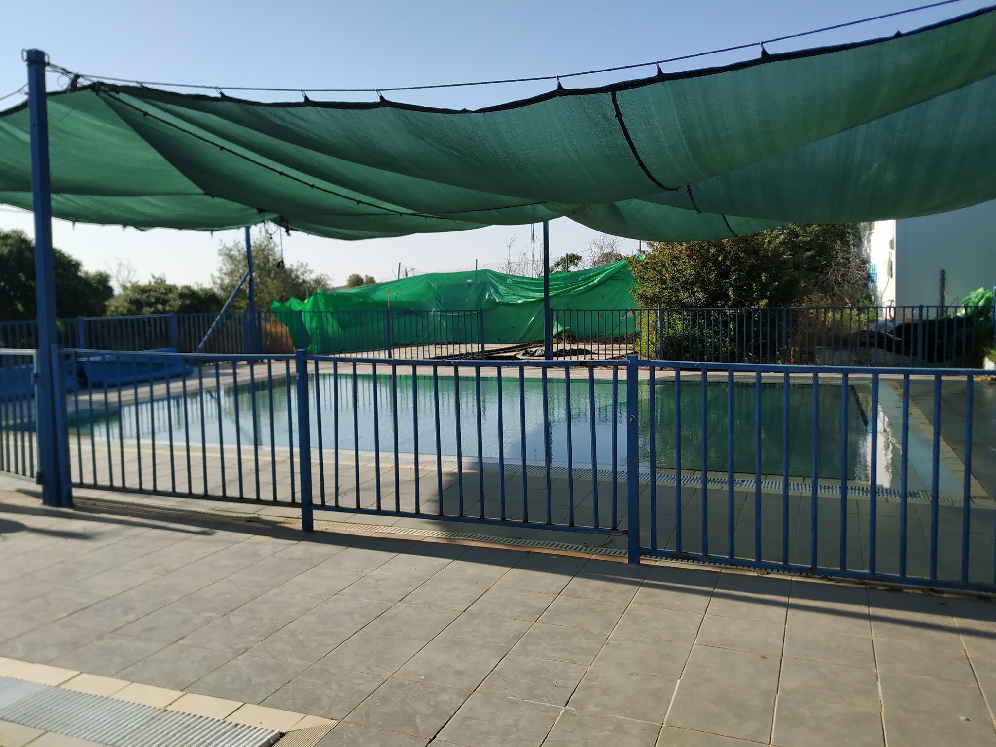 A Jewish Grandmother Shiloh Pool Season 5781, 2021 has Begun