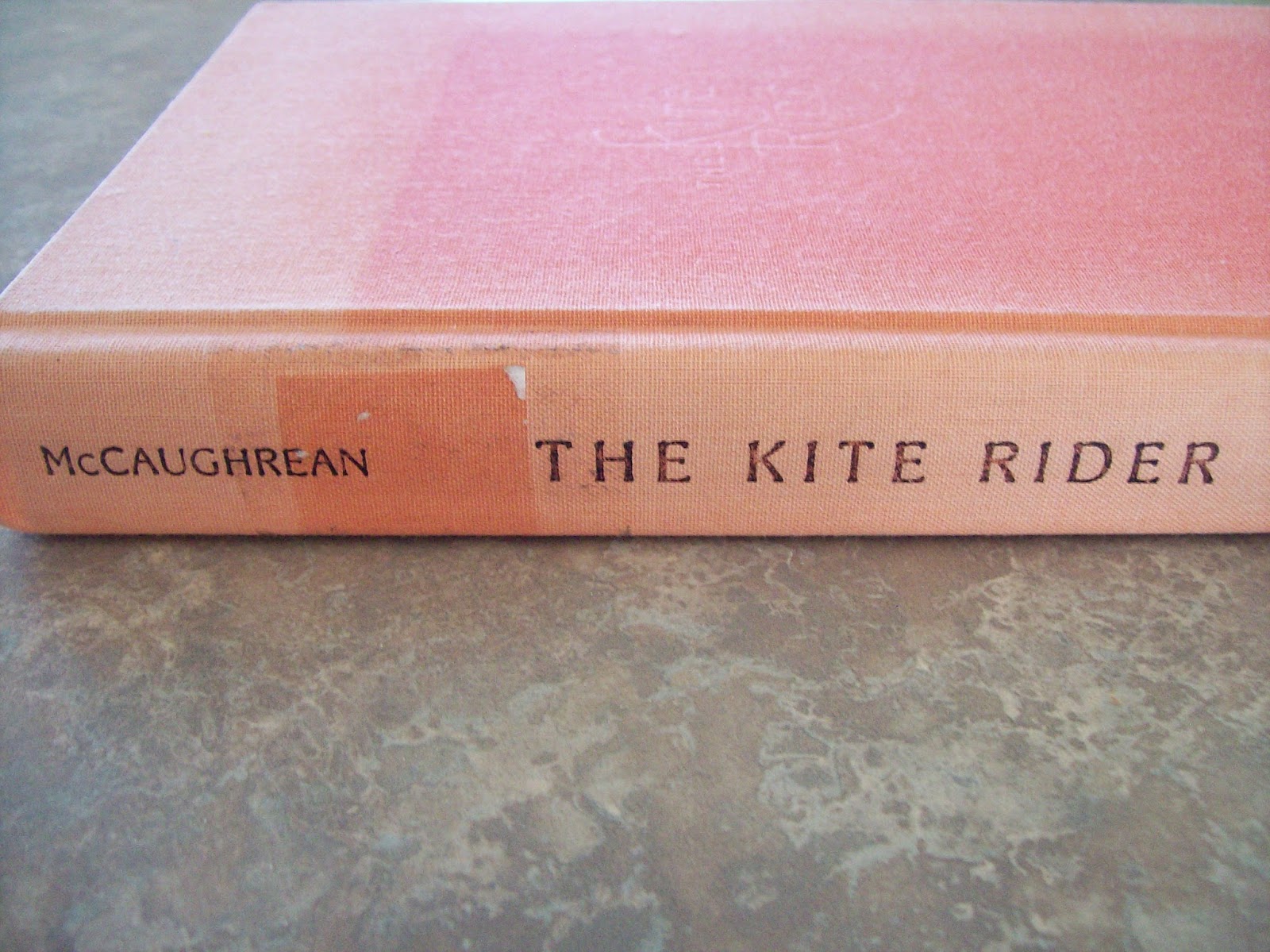 The Kite Rider - Broché - Achat Livre