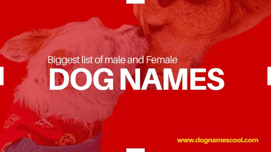 dog names