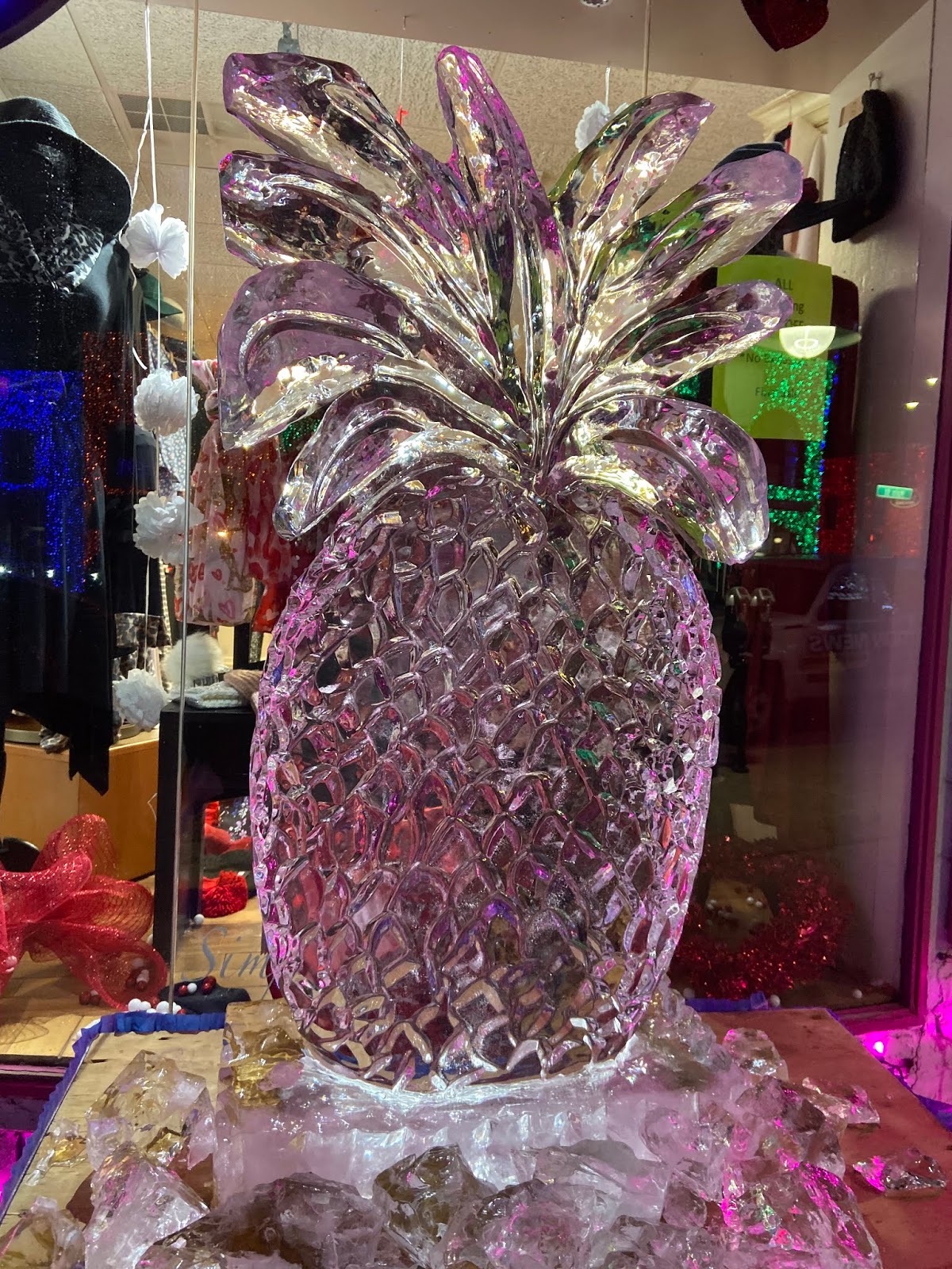 Travel Diaries Fire and Ice Festival Rochester Hills, Michigan