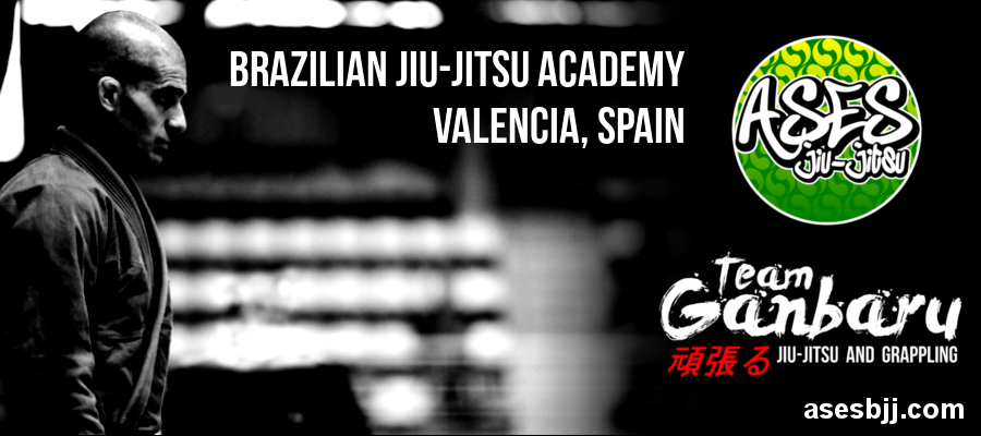 Ases Jiu Jitsu Valencia