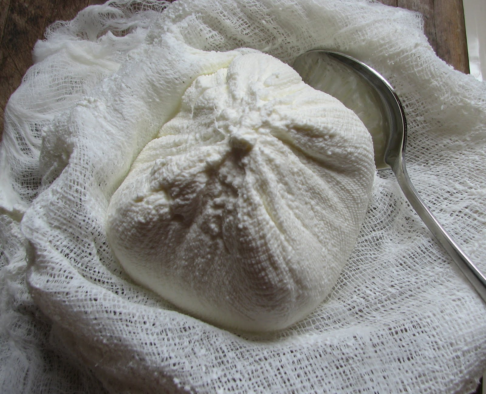 How I Learned To Stop Worrying and Love Swiss Chard Labneh (Yogurt Cheese)