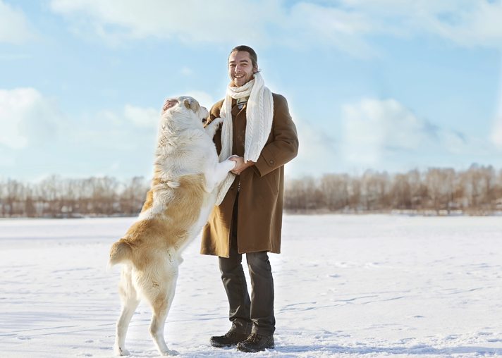 How To Train Your Dog Best Dog Obedience Training How to Stop Your