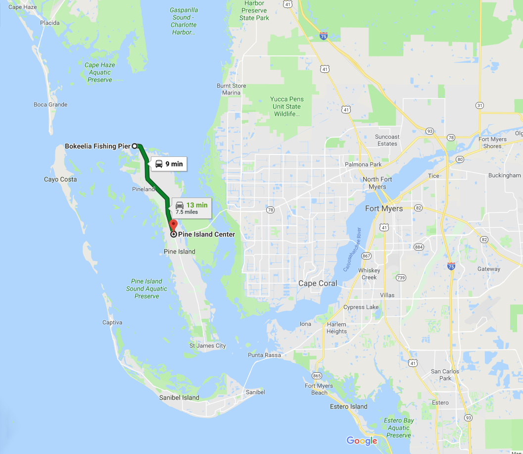 Life and Coconuts Discovering - Untitled