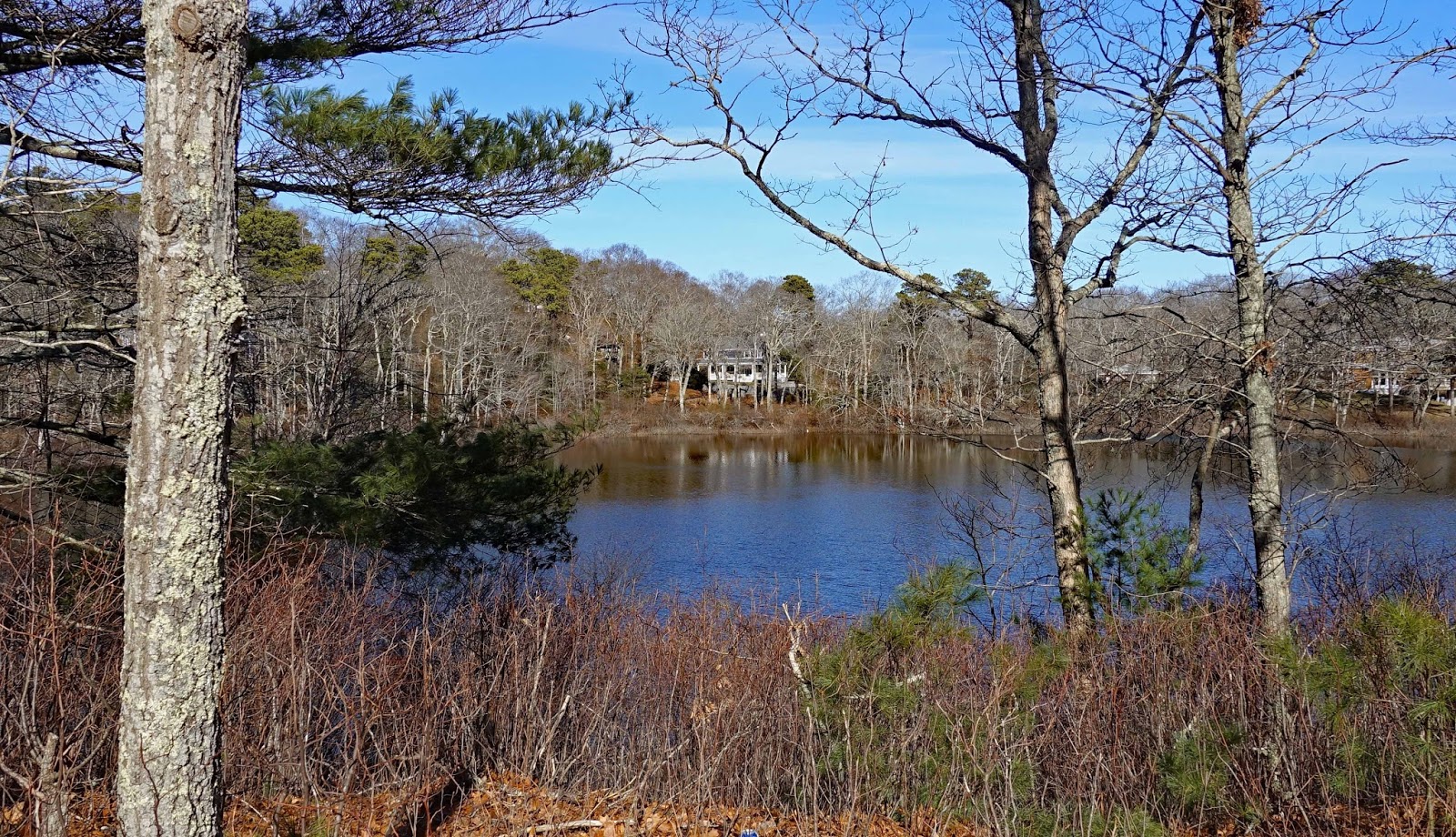 Joe's Retirement Blog Rabbit Pond, Manomet, Plymouth, Massachusetts, USA